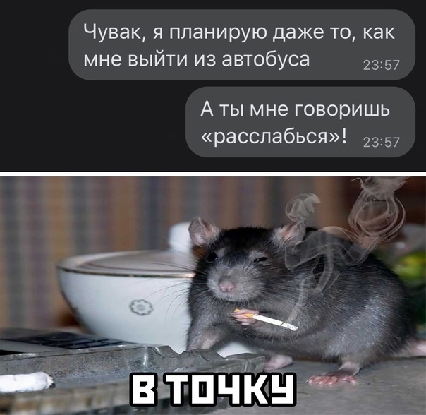 Картинки и мемы для настроения 03.06.2021