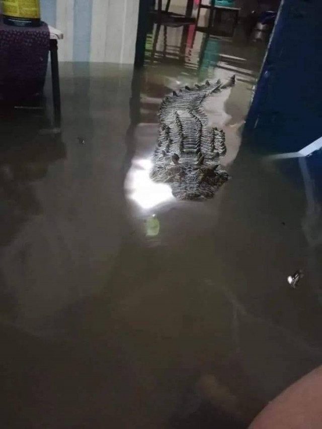 Картинки на вчера