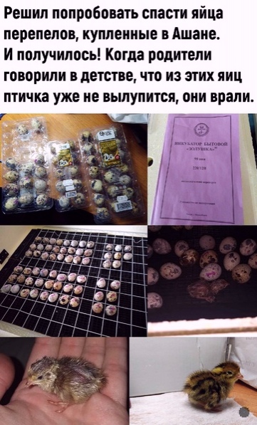 Картинки и мемы для настроения 12.08.2021