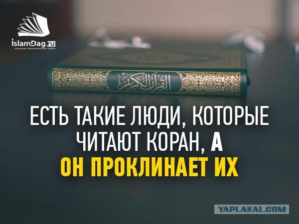 Быстрый продавец отбил украденое у воришки