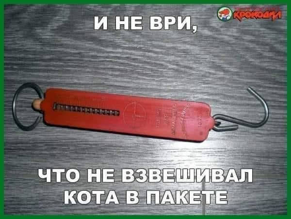 Всяческие картинки