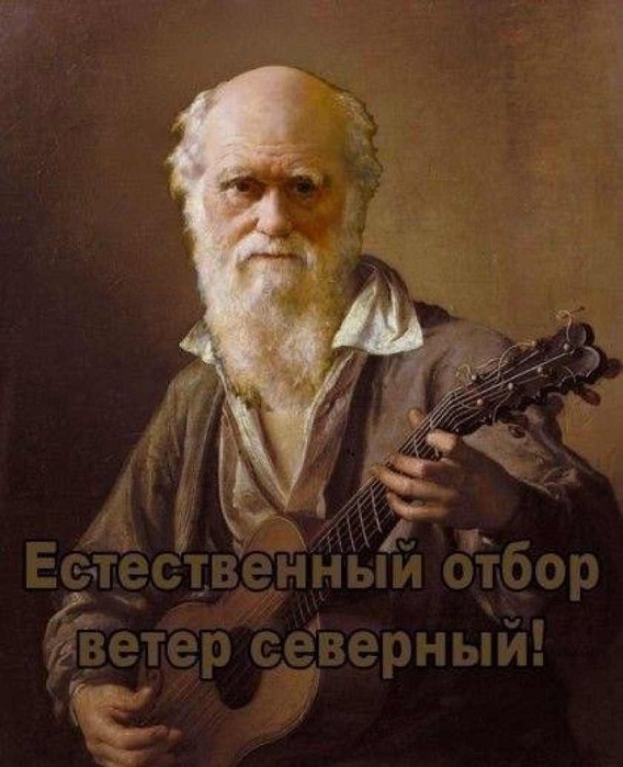 Американская студентка подавилась насмерть во время соревнований по поеданию хот-догов
