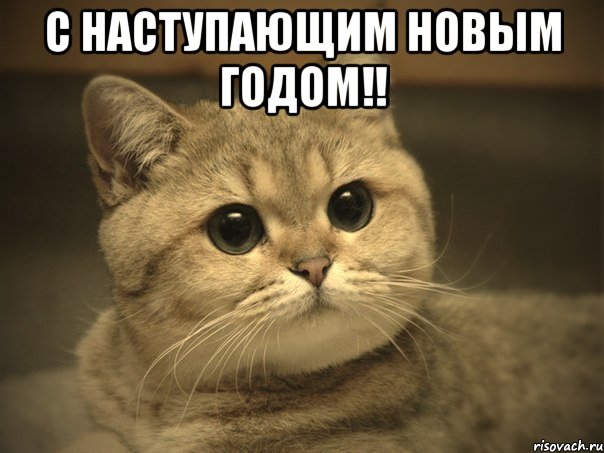 Смешные комментарии из социальных сетей 31.12.21