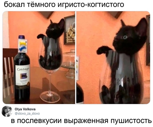 Всяческие картинки 02.02.2022