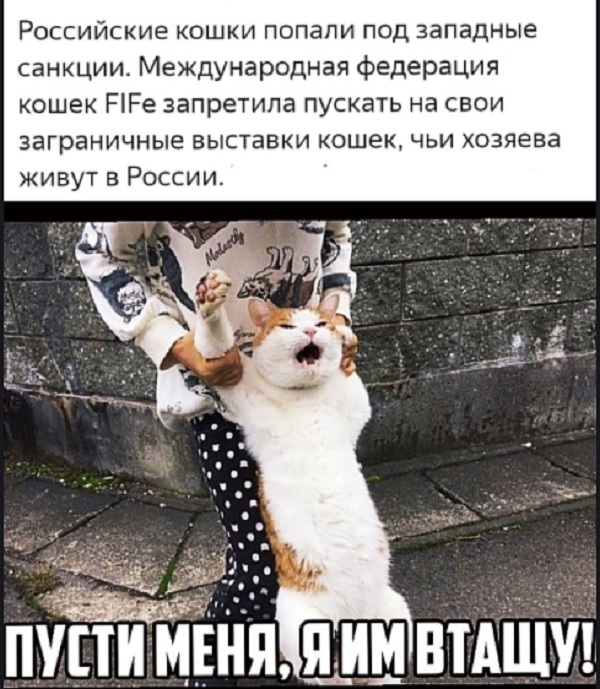 Картинки с надписями и всякие жизненные фразы