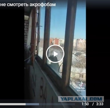 Опасные маневры котейкина или иди сюда бл*