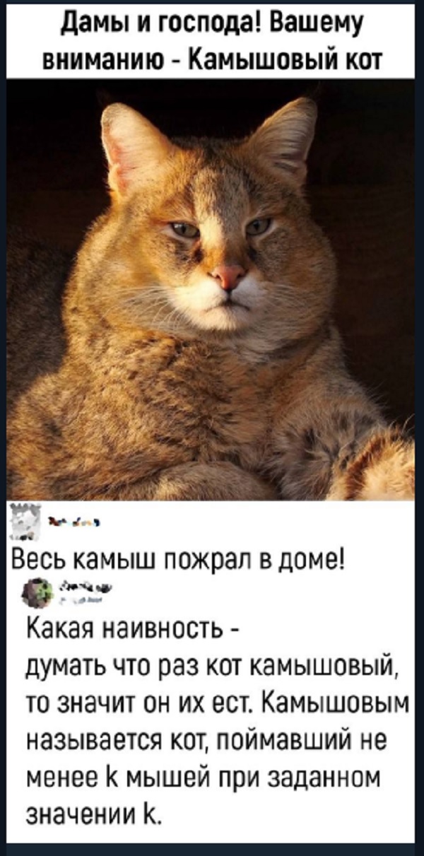Картинки с надписями и всякие жизненные фразы