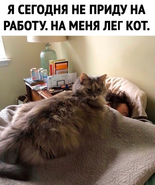 Сегодня я дома уже