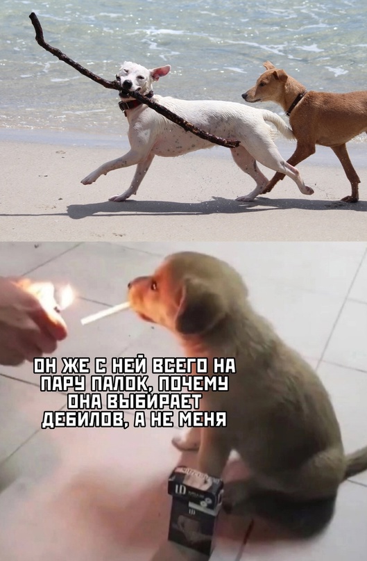 Картинки и мемы, всем хороших выходных