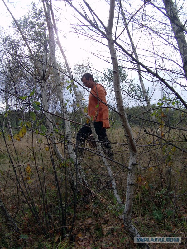 Поход за грибами