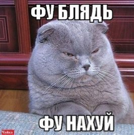 Альфасамец