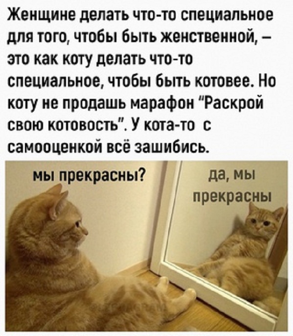 Картинки и мемы для настроения - 17