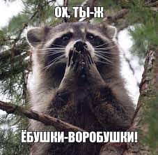 Рэкс низя