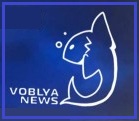 Демократы проигрывают промежуточные выборы в конгресс США