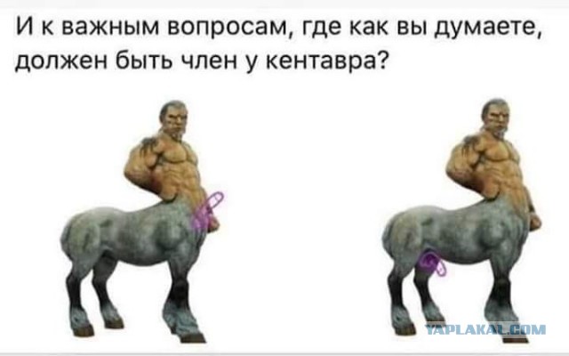 Так себе картинки 03.11.22