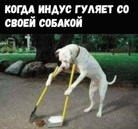 Народная меДИЧина 4012