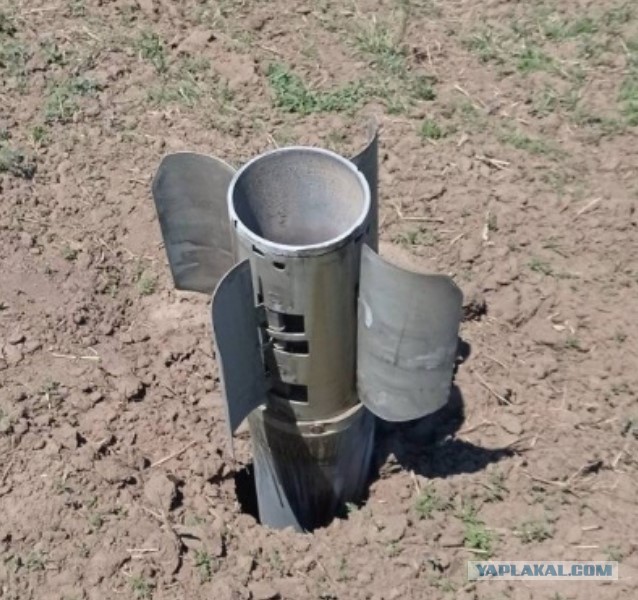 Это другое, Илон…