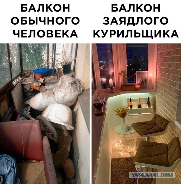 Весёлый полтишок 07.08.23