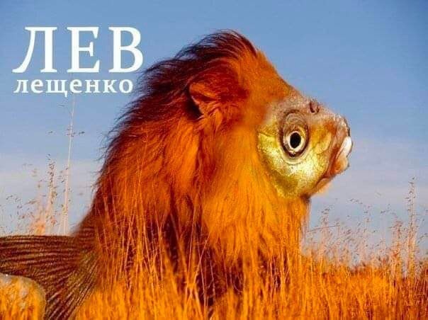 Всего понемногу. От 10.11.23