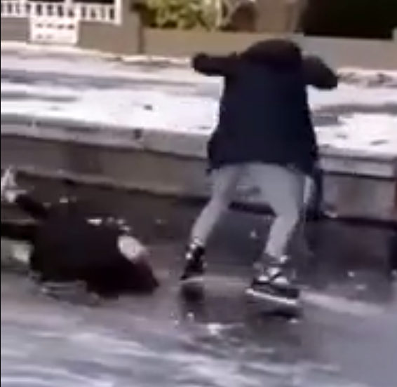 Зимние забавы больших детей.