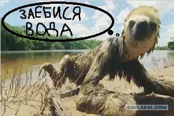 Чудовище