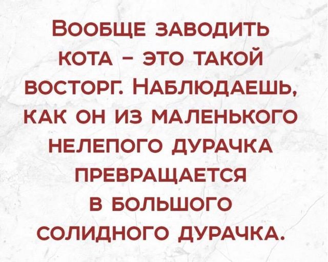 Весёлый полтшок 09.05.24