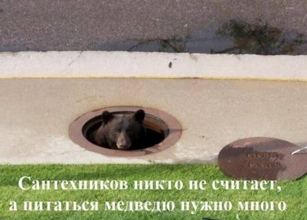 Завалялось тут случайно немного забавных картинок