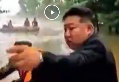 Ким Чен Ын врезался в дерево