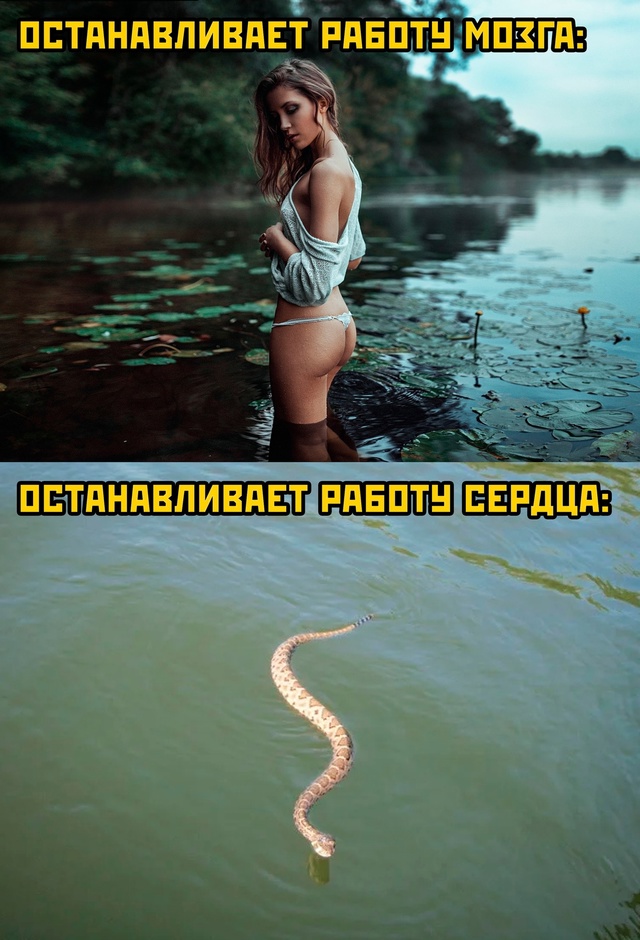 Весёлый полтишок 13.08.24