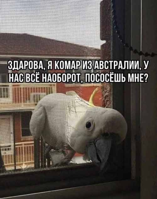 Завалялось тут случайно немного забавных картинок
