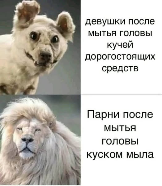 Картинки разные с надписями и без