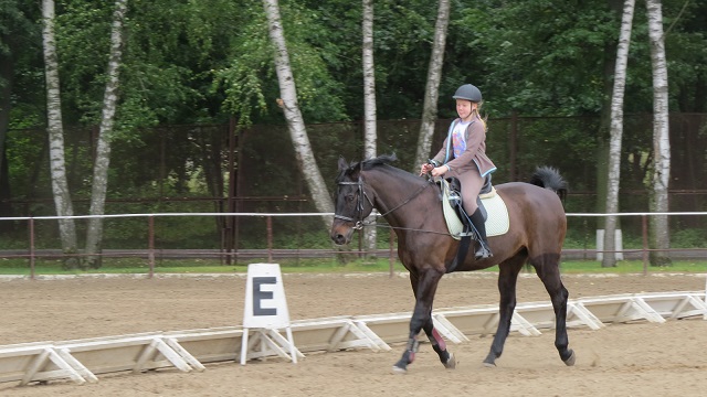 Малышка кормит лошадей