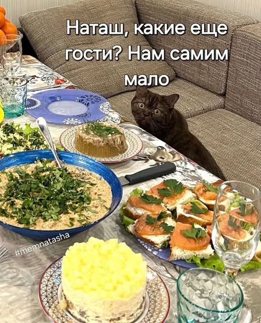 К котовторнику: подборка картинок-баянов с котиками и про котиков. Выпуск 4