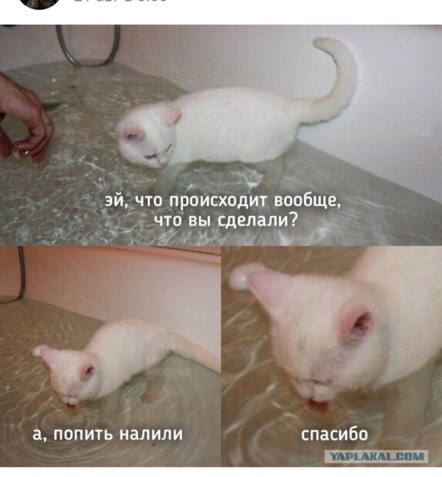 Жуткие попытки утопить 18+