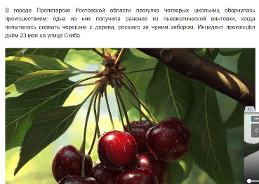 Ростовский дед так яростно защищал свою черешню, что обстрелял 13-летних школьниц, которые на нее покусились