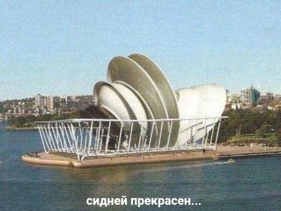 А где Цой?