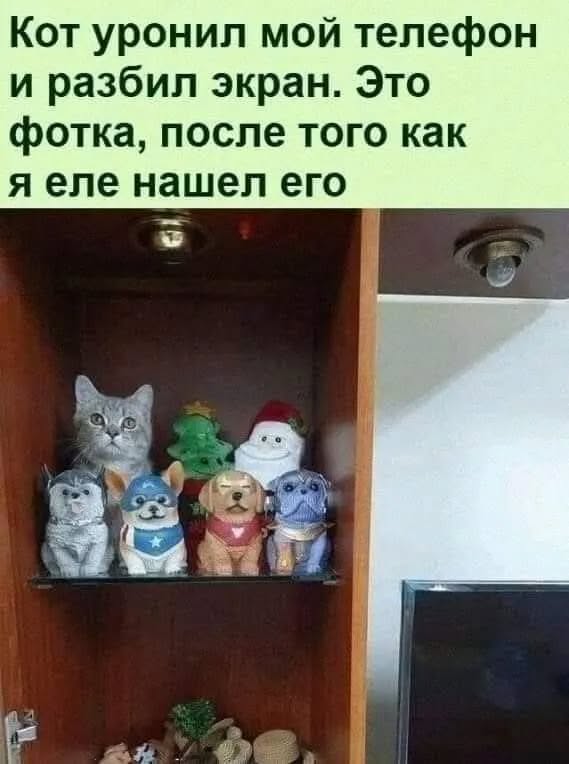 Веселые картинки в понедельник (18.08)
