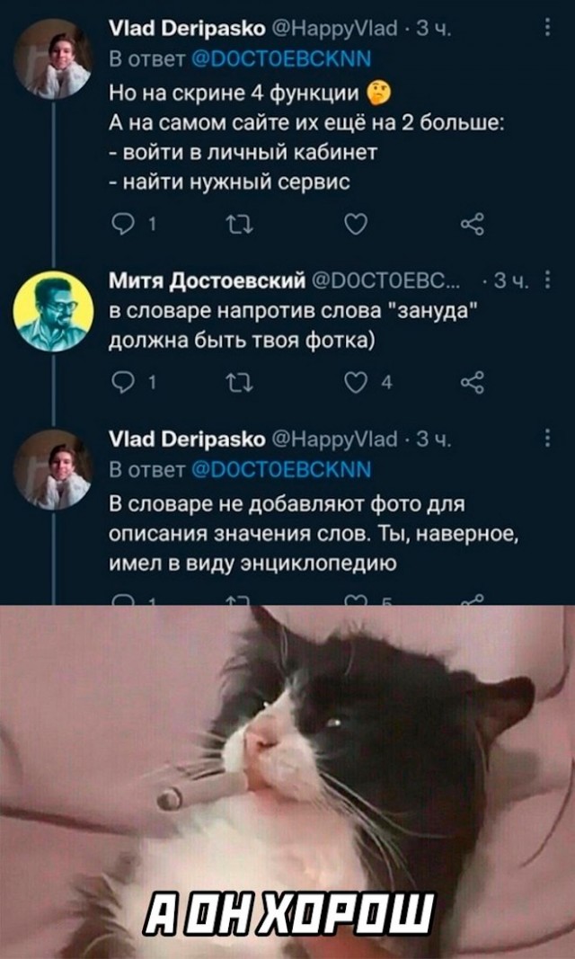 К котовторнику: подборка картинок-баянов с котиками и про котиков. Выпуск 19.
