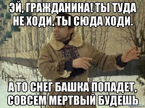 В Москве на Измайловском бульваре во время уборки крыши коммунальщики уронили глыбы льда на припаркованные автомобили.