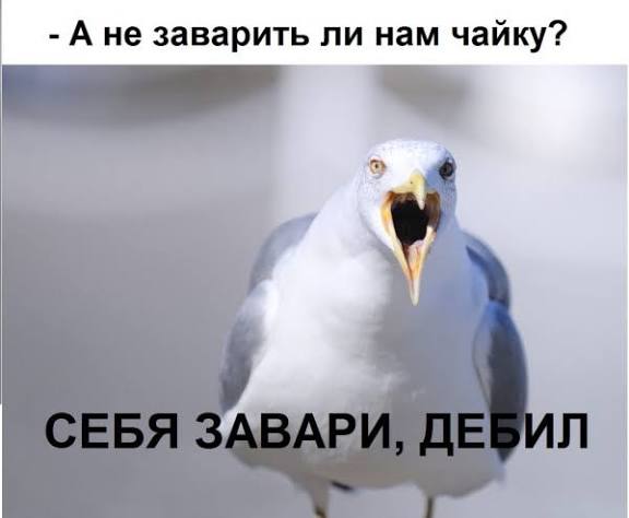 Кто чем завтракает?