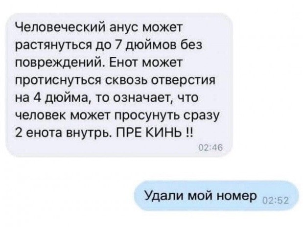 Картиночки, баянчики 05 февраля