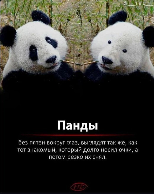 Воскресные картинки