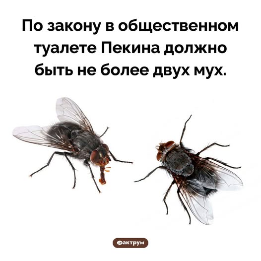 Среды картинки