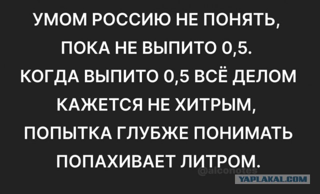 Картинки для деградации 243 (разной степени свежести)