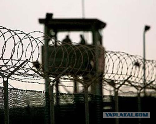 История одного убийцы