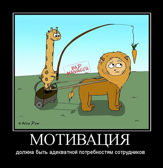 Демотиваторы