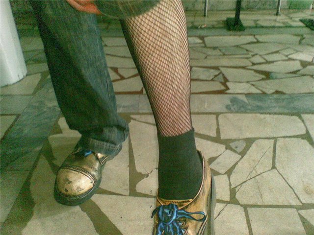 Животные в повседневной жизни