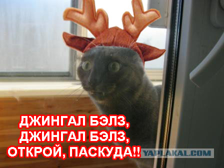 Пустите домой, гады!