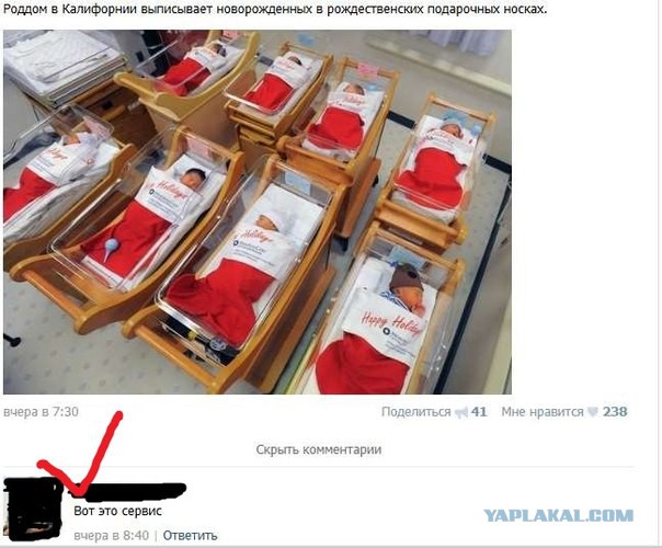 Приколы и маразмы