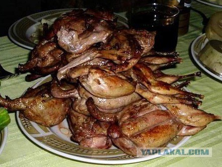 Плюсы и минусы различных видов мяса